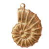 Charms