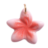 Charms