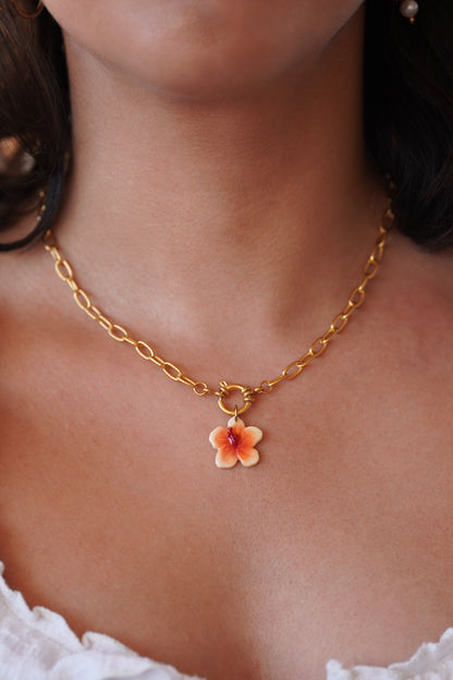 Coffret hibiscus