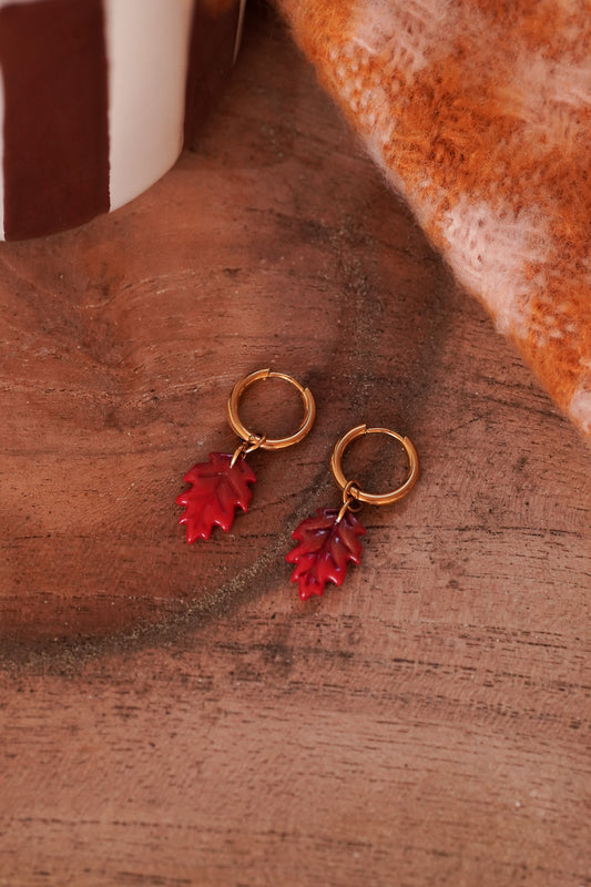 Boucles Bois Dormant
