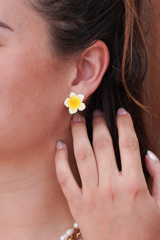 Puces d'oreilles hibiscus