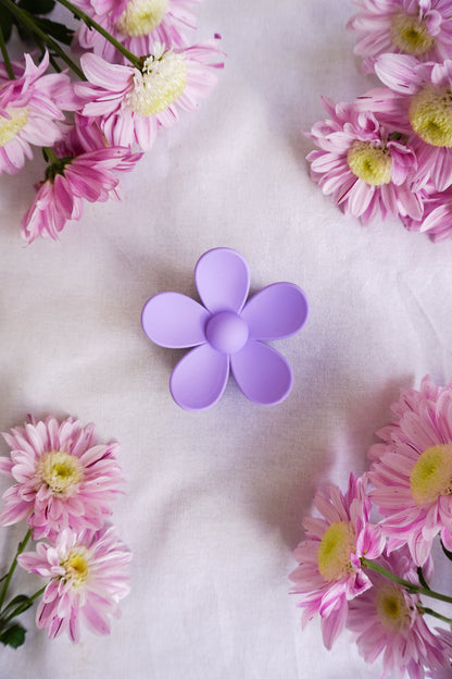 Pince à cheveux Violette