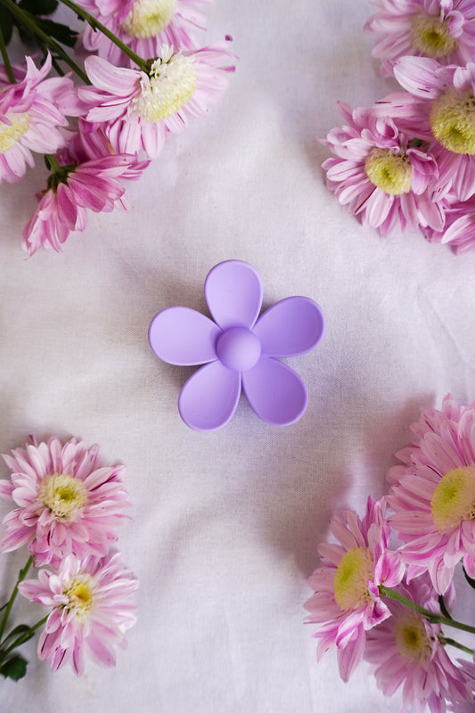 Pince à cheveux Violette